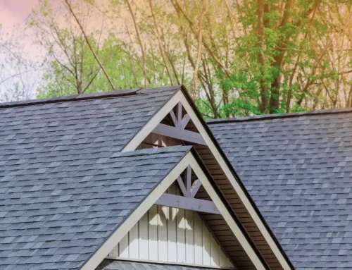 How to Extend the Life of Your Shingles in High Humidity & Storm Season