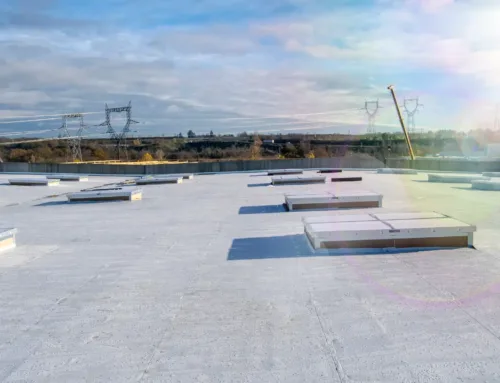 Commercial Roof Coatings 101: Benefits for Business Owners Facing Florida Rain