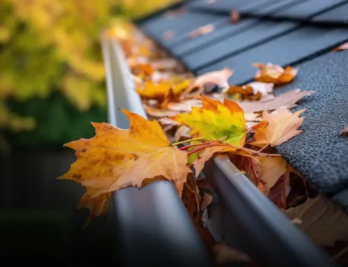 Fall Storm Prep: Why Early Roof Inspections Matter in Florida