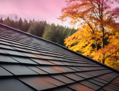 Shade & Solar Heat: How Tree Canopy Affects Florida Roof Lifespan